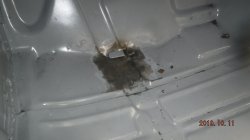 191110 67 Chevy Chevelle (5).JPG